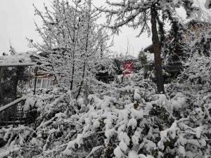 ADANALILARIN KAR SEVİNCİ