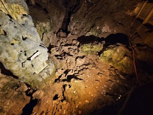 KURUYAN 'DİLEK GÖLÜ' NE ARTIK KAĞIT PARA  ATILIYOR