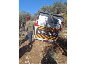 ÖĞRENCİ SERVİSİ ZEYTİNLİĞE UÇTU: 5 YARALI