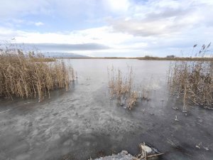 DONAN GÖLE KUŞLAR İÇİN YEM BIRAKILDI