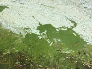 EĞİRDİR GÖLÜ'NDE BULANIK YAPI RİSKİ