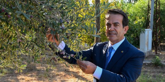 ZEYTİNYAĞI KALİTE YARIŞMASI İÇİN SON GÜN 15 OCAK