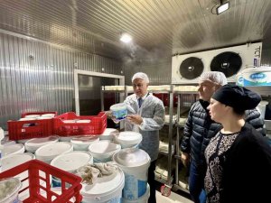 ANTAKYA’DA SÜT ÜRÜNLERİ ÜRETEN FİRMA İNCELENDİ