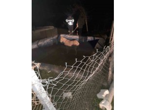 HAVUZA DÜŞEREK MAHSUR KALAN ATI İTFAİYECİLER KURTARDI