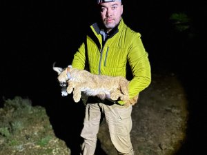 KARAKULAKLAR 'GÖSTERGE TÜR' OLARAK TESCİLLENDİ