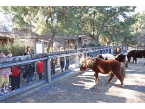 DOĞAL YAŞAM PARKI’NDA ÇOCUKLARA HAYVAN VE DOĞA SEVGİSİ AŞILANIYOR