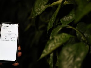 SERALAR CEP TELEFONLARI İLE İZLENİYOR