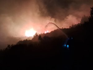 ANTALYA'DA ORMAN YANGINI