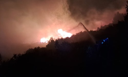 ANTALYA’DA EVLERİ TEHDİT EDEN ORMAN YANGINI KONTROL ALTINA ALINDI