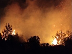 ANTALYA’DA EVLERİ TEHDİT EDEN ORMAN YANGINI KONTROL ALTINA ALINDI