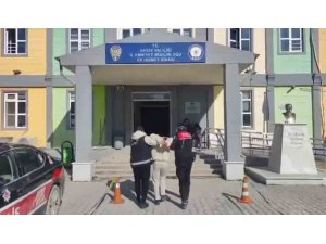 HATAY’DA 750 BİN LİRALIK HIRSIZLIK ŞÜPHELİSİ TUTUKLANDI