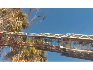 SİLİFKE’DE YÜREKLERİ ISITAN KURTARMA