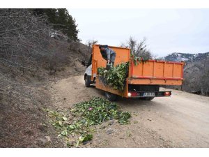 ISPARTA’DA KIŞIN AÇ KALAN YABAN HAYVANLARINA DUYARLI DOKUNUŞ
