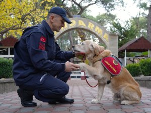 JAK KÖPEĞİ 'OCAK' 8 YILDA 48 CAN KURTARDI