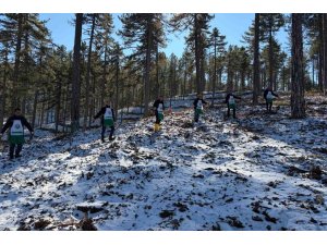 SAİMBEYLİ’DE ORMAN GELECEĞE HAZIRLANIYOR