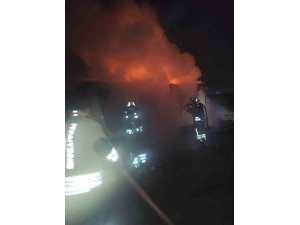 HATAY’DA KONTEYNER ALEVLERE TESLİM OLDU