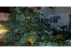 HORTUM MANAVGAT’I SAVAŞ ALANINA ÇEVİRDİ