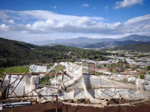 COŞAR: "ÇİFTÇİYE DESTEK VERİLMEZSE, ÜRETİM DURACAK"