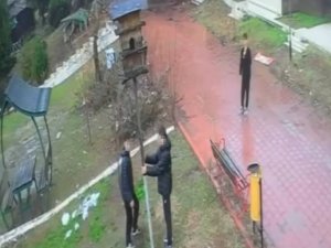 ADANA’DA PARKTAKİ KUŞ YUVASINI PARÇALADILAR