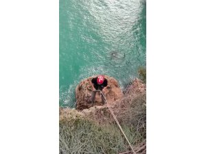 FALEZLERDE MAHSUR KALAN KEDİYİ FİLM GİBİ OPERASYONLA KURTARDILAR