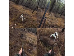 MERSİN’DE AV SIRASINDA DOMUZ SALDIRISI KAMERADA