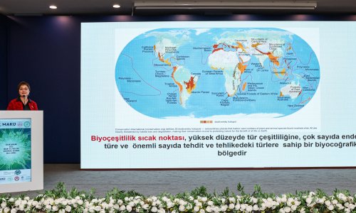 RAMSAR SULAK ALANLARI ÇALIŞTAYI YAPILDI