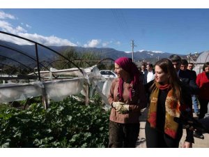 BÜYÜKŞEHİRDEN 121 ÇİFTÇİYE 212 BİN 400 METREKARE SERA NAYLONU DESTEĞİ