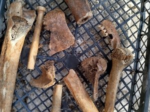 SUYU ÇEKİLEN GÖLDE İNSAN KEMİKLERİ