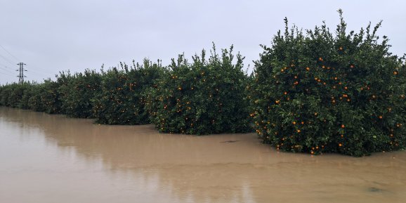 YAĞIŞ VE HORTUMUN FATURASI 300 MİLYON TL