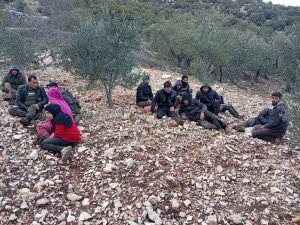 HATAY’DA ZEYTİNLİK ALANDA 30 DÜZENSİZ GÖÇMEN YAKALANDI