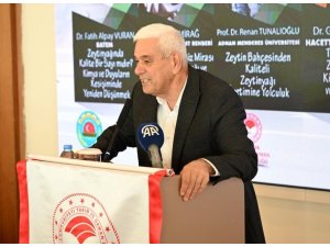 ANTALYA’DA ZEYTİNLİK ALAN 20 YILDA 2 KATINA ÇIKTI