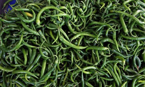 OCAK AYINDA İHRACAT ŞAMPİYONU 'BİBER'