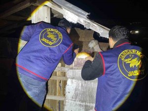 JANDARMA KAYIP 5 KOYUN İÇİN 3 İŞ YERİ VE 9 MESKENE AİT TOPLAM 24 SAATLİK GÜVENLİK KAMERASINI SANİYE SANİYE İNCELEDİ