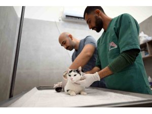 MERSİN’DE SOKAK KEDİLERİ İÇİN YENİ MERKEZ HİZMETE GİRDİ