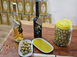 TAVŞAN YÜREĞİ ZEYTİNYAĞI, KEMOTERAPİ KADAR ETKİLİ