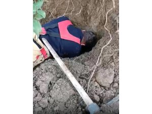 HATAY’DA TOPRAĞIN KAYMASIYLA GÖÇÜK ALTINDA KALAN YAVRU KÖPEKLER KURTARILDI