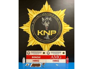 KAHRAMANMARAŞ’TA NARKOTİK OPERASYONU: 2 TUTUKLAMA