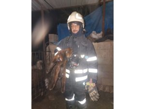 HATAY’DA AHIRDA KORKUTAN YANGIN