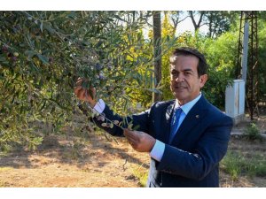 ANTALYA ZEYTİNYAĞINI MARKALAŞTIRACAK 30 ÖNERİ