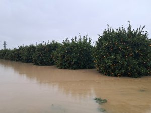 FELAKETİN FATURASI 3 MİLYAR