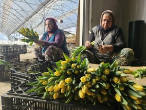 KADINLAR GÜNÜ'NE ÖZEL SUDA LALE