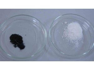 ISPARTA’DA ENDEMİK BİTKİDEN DOĞAYA ZARAR VERMEDEN KANSERLE MÜCADELEYE UMUT OLACAK ÜRETİM MODELİ GELİŞTİRİLİYOR