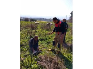 DEFNE’DE KUYUYA DÜŞEN KUZUYU İTFAİYE KURTARDI