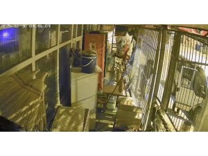 ÇALINTI ARAÇLA GELDİLER, MARKETİ SOYDULAR: 1 ŞÜPHELİ TUTUKLANDI