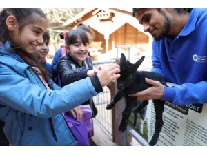 ÇOCUKLAR HAYVANLARI VE YABAN HAYATINI TANIMA FIRSATI BULDU