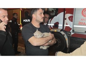 KORKUTAN YANGINDA MAHSUR KALAN KEDİYİ İTFAİYE KURTARDI