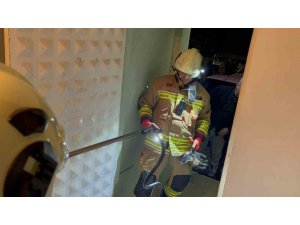 CAMİDE GÖRÜLEN YILAN YAKALANDI