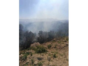 SAMANDAĞ’DA ORMANLIK ALANDA ÇIKAN YANGIN KISA SÜREDE KONTROL ALTINA ALINDI