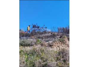 DEFNE’DE ÇIKAN BAHÇE YANGININDAN ALEVLER YÜKSELDİ