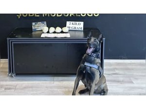 OCAK AYININ EN BAŞARILI NARKOTİK KÖPEĞİ "JARDİ" OLDU